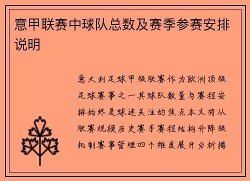 意甲联赛中球队总数及赛季参赛安排说明