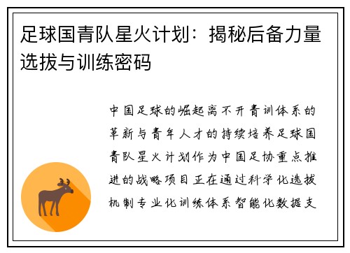 足球国青队星火计划：揭秘后备力量选拔与训练密码